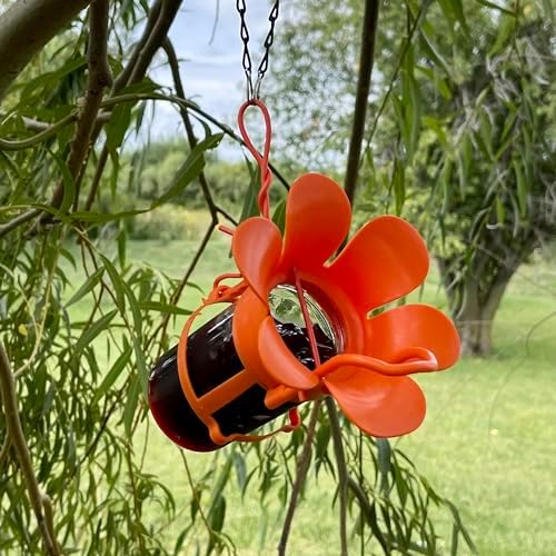 Glass Jelly and Jam Bird Feeder, Hanging Oriole Treat Dish | Jelly and Jam Feeder; Glass Dish; Hanging Design; Attracts Orioles