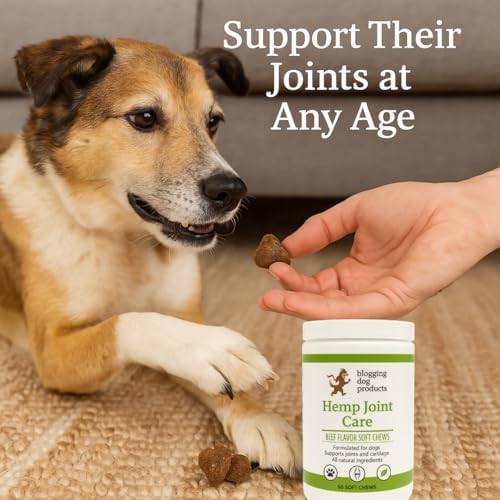 Dog Joint Supplement – Glucosamine, Hemp, MSM & Turmeric for Dogs – Hip & Joint Relief Soft Chews, 60-Count by Blogging Dog Products