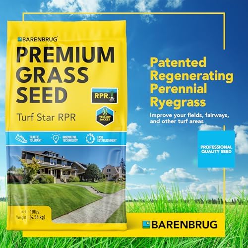 Barenbrug Turf Star Regenerating Perennial Ryegrass Lawn Seed with Yellow Jacket Seed Coating, Fast-Acting Durable Grass Seed Mix for Lawns