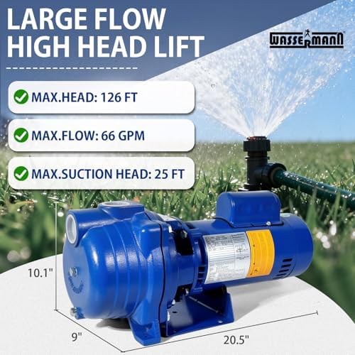 Centrifugal Pump 1.5 HP, 66GPM Shallow Well Jet Pump 115V/230V Self-Priming Centrifugal Pump Durable Cast Iron Booster Pump for Lawn Sprinkler