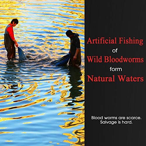 Brine Shrimp Cubes All Natural Tropical Fish Food for Small to Medium Sized Saltwater & Freshwater Fish - Betta Guppy Discus Cichlids Discus Goldfish Angel Fish