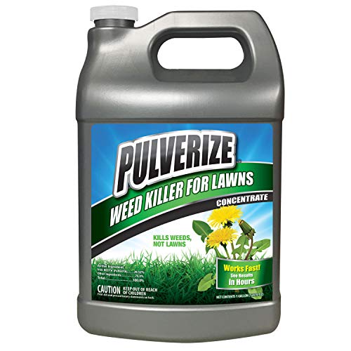 Weed Killer for Lawns Concentrate