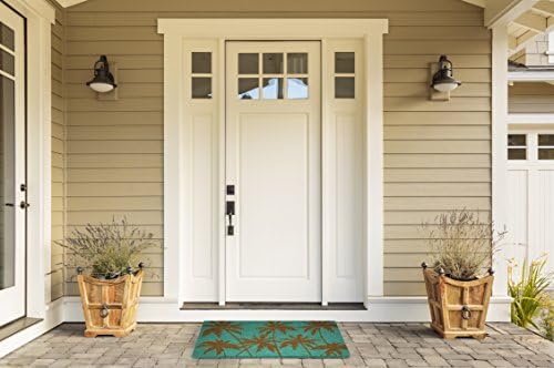 DII Floral Design Collection Natural Coir Doormat, 17x29, Palm Beach