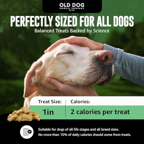 Old Dog Cookie Company Tiny Diabetic Dog Treats | All Natural, 2 Calorie, Vet Approved Pet Snacks | Top Treat for Dogs | Healthy Chews for Large