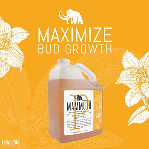 Mammoth Organic Bloom Booster | Mammoth P Organic Fertilizer Microbial Inoculant | 16% Proven Increase in Yield (250 ml)