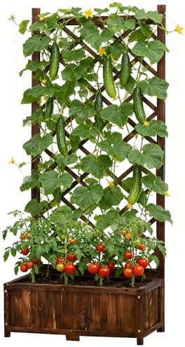 Anraja Raised Garden Bed with Trellis Wooden Flower Standing Planter Box Outdoor Wood Lattice Panels Privacy Screen for Climbing Plant Planting