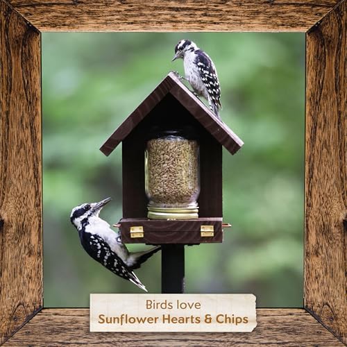 Morning Song Sunflower Hearts & Chips Wild Bird Food, No Mess Sunflower Seeds for Birds, 5.5-Pound Bag | No Mess Sunflower Seeds for Birds