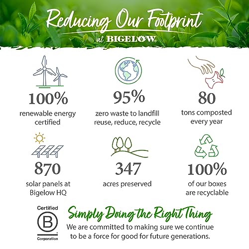 Bigelow Tea Green Tea Assortment, 64 Count (Pack of 1) | Individually Wrapped Tea Bags with Classic, Decaffeinated, Mint, Peach, Constant Comment, Lemon, Mango, and Earl Grey Teas