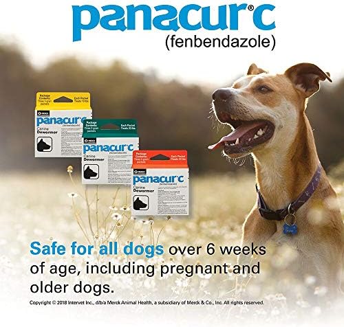 Panacur C Canine Dewormer (fenbendazole), 2 gram,White