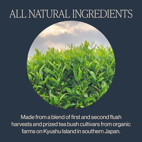 Rishi Tea Sencha Green Japanese Organic Sachet Tea Bags, Caffeinated, 15ct | Classic Japanese Sencha Green Tea, Enjoy Hot or Iced, Sustainable, 15 Servings