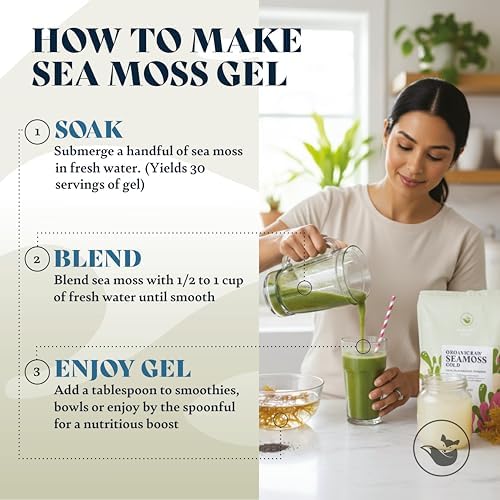 HAPPY FOX Organic Sea Moss Raw Gold - Makes 75oz of Seamoss Gel Rich in Vitamins & Minerals, Certified Non-GMO, Wildcrafted, Sundried Superfood - 3.5 oz Bag