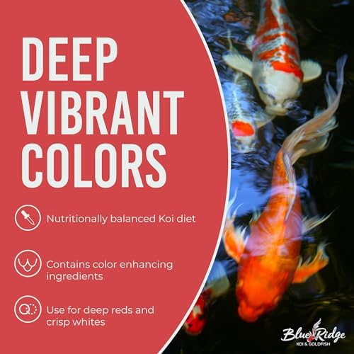 Blue Ridge Koi Platinum Pro 41% Protein Fish Food, 3/16" Pellets, 4.5 lb | Floats, softens fast; Spirulina & Canthaxanthin color support; probiotic-enriched; warm-season formula