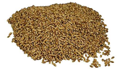 Hard Red Wheat Berries : Wheatland™ : 25 lb Bulk: Emergency Preparedness : Mylar : Oxygen Absorber : 30 Year Shelf Life : Non GMO: NO Glyphosate :
