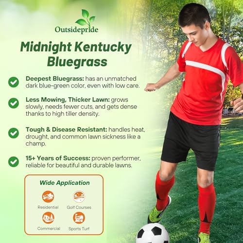 Outsidepride Midnight Kentucky Bluegrass Seed - 10 Lbs. Cold & Drought Tolerant, Sun-Loving Lawn Grass Seed, w/High Traffic Tolerance & Deep Root System, OptiGrowth Coated for Better Establishment