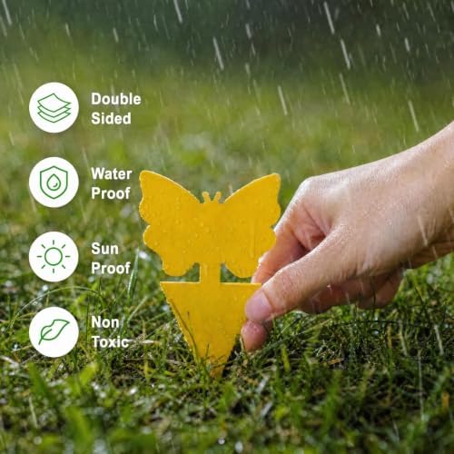 40 Pack Fungus Gnat Traps, Yellow Sticky Fruit Fly Traps for Indoor Plants