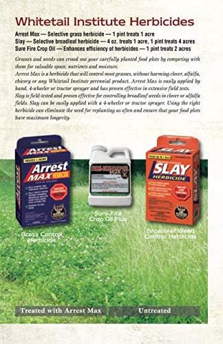 Whitetail Institute Sure-Fire Crop Oil Surfactant, 1 Pint (2 Acres)