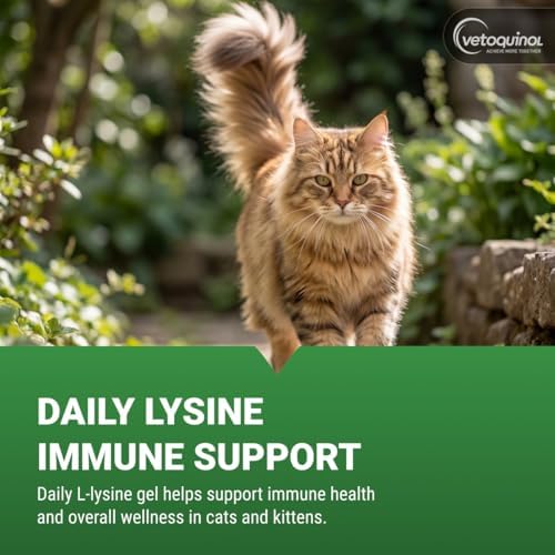 Vetoquinol Viralys - Lysine Supplement for Cats & Kittens - Supports Eye Wellness