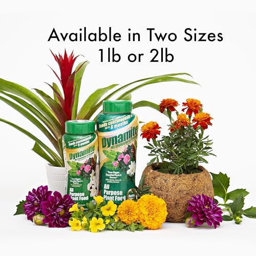 BLACK (GOLD) KOW Dynamite 2 lb All Purpose 9 Month Plant Food-(887763) | Provides 9 months of continuous feeding, contains essential micronutrients