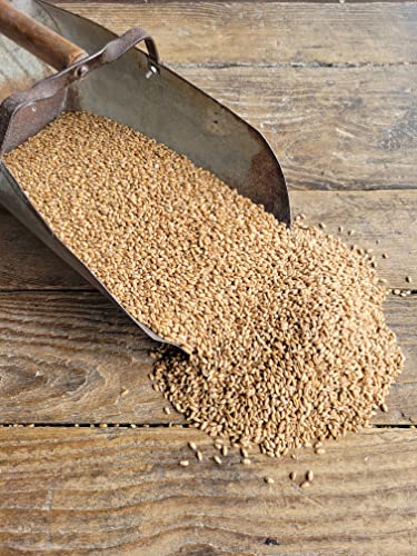 Ernst Grain & Livestock Soft Red Wheat Berries – Non‑GMO Feed Grade – 46 LB Bulk Bag – Ideal for Livestock & Poultry Feed – Grown (Family