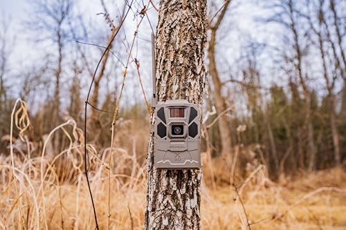 TACTACAM Reveal X 3.0 Cellular Trail Camera, Night Vision, Waterproof | 4K photo, 1080p video, auto-connect multi-carrier LTE, no SD card needed