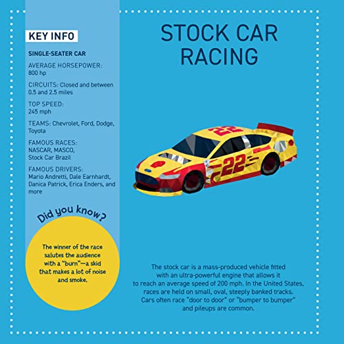 My Sticker Paintings: Cars: 10 Magnificent Paintings (Happy Fox Books) Sticker-by-Number for Kids 6-10 - F1, Motocross, Go-Karts, and Race Cars