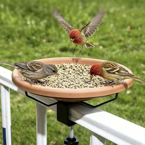 Hanizi Bird Bath Deck Mounted Bowl 12 Inches, Balcony Railing Birdbaths Unheated, Bird Bath Fence Clamp Detachable
