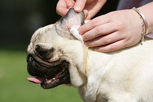 Doctor BEASLEY'S Advanced Ear Bomb is a Powerful 1 Step Cleaning Solution Treatment for Dog Ear Infections, Cleaner Replaces Drops, Vet Visits