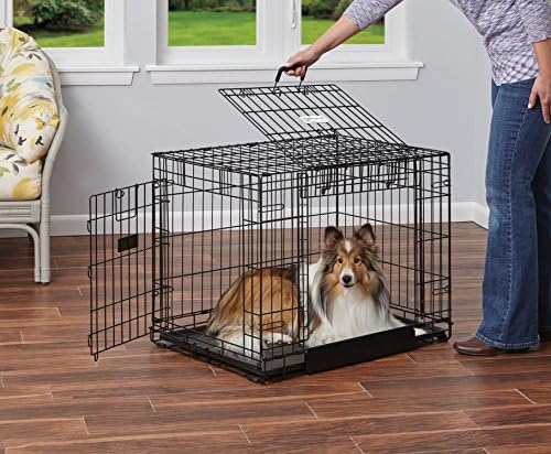 MidWest Homes for Pets Medium Ovation Double Door 30-inch Folding Metal Dog Crate, Front and Up & Away Side Doors, Space-Saving Design