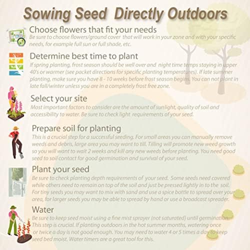 Outsidepride Blueberry Periwinkle Seeds for Planting – 50 Pcs Annual, Fast-Blooming