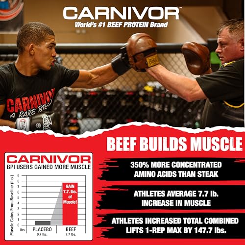 MuscleMeds Carnivor RTD, Ready to Drink Protein, Lactose Free, Sugar Free, 40g Isolate Protein, Muscle Building, Recovery, Chocolate, 16.9 Fl Oz (Pack of 12)