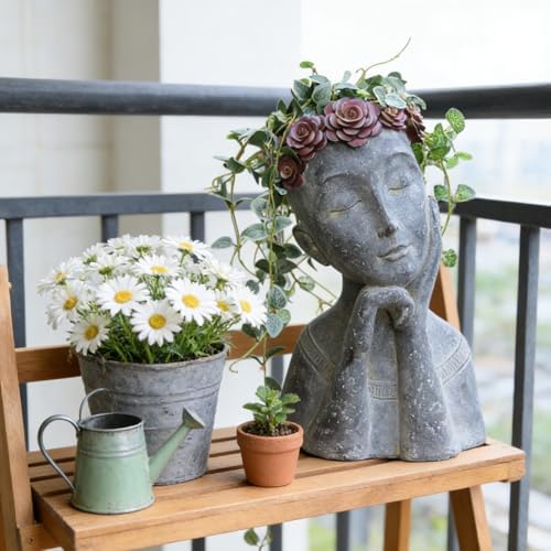 Newman House Studio Face Cactus Succulents Planter Pot - Indoor Outdoor Planter with Drainage Hole Garden Statues Cute Plants Pot Flower Pot
