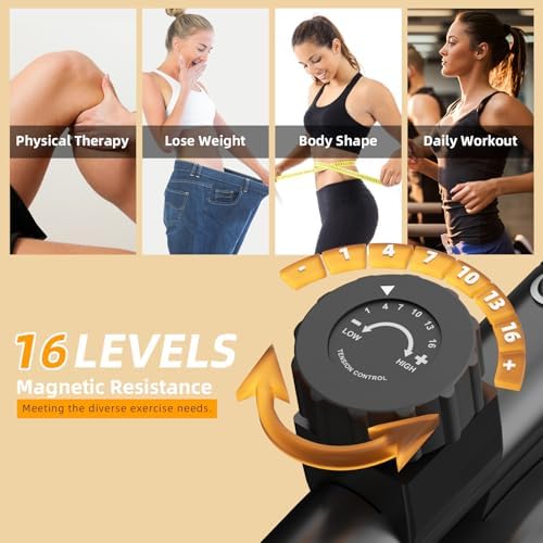 VANSWE Recumbent Exercise Bike for Home Seniors with 380 LB Weight Capacity | Fit 5’1”-6’1”, 16-Level Magnetic Resistance