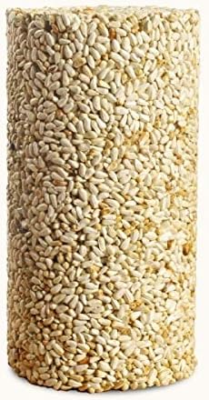 2-Pack Mr. Bird Safflower Feast Wild Bird Seed Cylinder 28oz | Wild Bird Food for Outdoor Birds | Backyard Birdfeeding | Squirrel Resistant