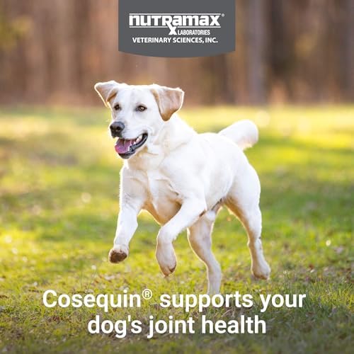 Nutramax Cosequin Joint Supplement for Dogs, Chewable Tablets, 132ct | Glucosamine + Chondroitin for Dogs with MSM, Supports Healthy Joints, All Breeds & Sizes, All Ages