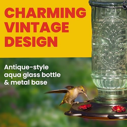 More Birds Vintage Glass Hummingbird Feeder, 20 oz Nectar Capacity | 5 Red Flower-Shaped Feeding Ports, Antique Aqua-Tinted Design