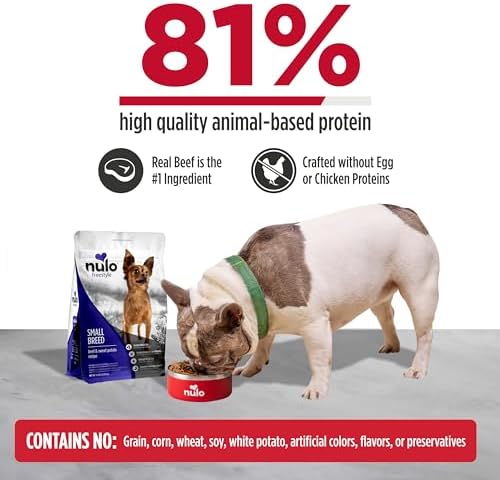 Nulo FreeStyle Small Breed Dog Food Dry - Salmon & Lentils, Puppy & Adult Grain Free Dog Food, Natural, High Protein