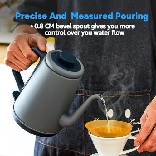 DmofwHi 1000W Gooseneck Electric Kettle (1.0L), 100% Stainless Steel BPA Free Tea Kettle with Auto Shut - Off Protection
