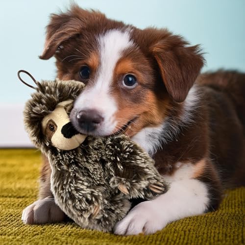 Multipet Sitting Sloth Dog Plush Toy - Squeaky Toy for All Dogs - Extra Soft Plush - Stuffed Animal for Cuddling & Playing - Cute Jumbo Pet Toy (14")