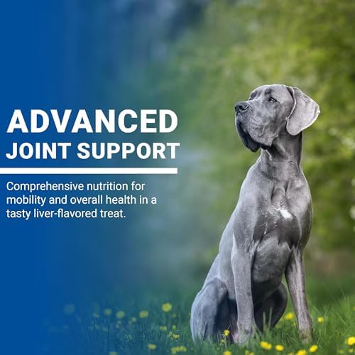 VPS SynovialMax Hip & Joint Soft Chews for Dogs - 240 count | Glucosamine for Dogs with MSM and Vitamin C - Advanced Dog Hip and Joint Supplement - Liver Flavor