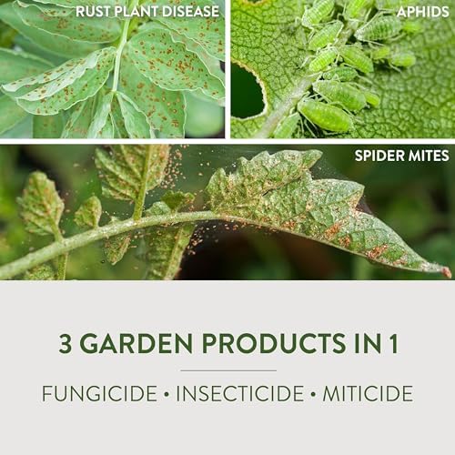 Garden Safe Brand Fungicide3 with Neem Oil, for Organic Gardening, 1 Gal | 3 Garden Products in 1, Fungicide, Insecticide and Miticide Kills Eggs, Larvae and Adult Insects, Use Around Home & Garden