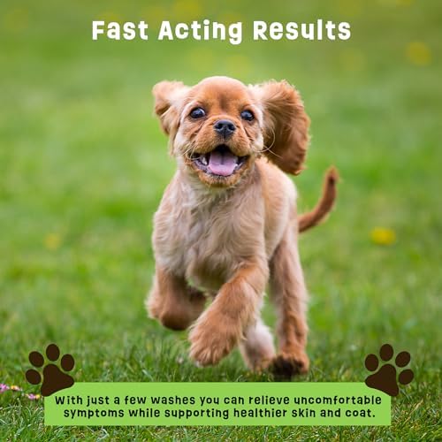 Dogs Plus Vitamin C Dog Shampoo | All Natural Dermatitis, Demodex Mange, & Hot Spot Treatment for Dogs | Fast and Effective Itch Relief (6 oz)