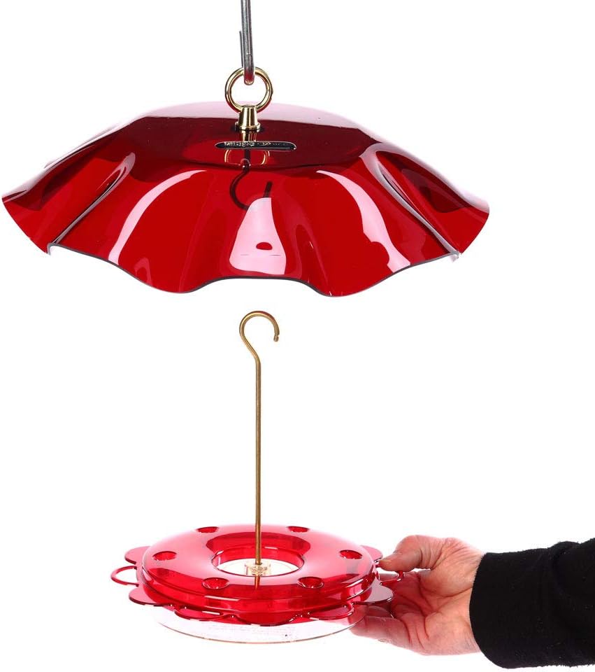 Birds Choice Hummerfest Hummingbird Feeder with Weatherguard | 12oz, Red | Built-In Ant Moat Protects Nectar, Rain Cover Keeps Feed Fresh, Easy to Fill and Clean