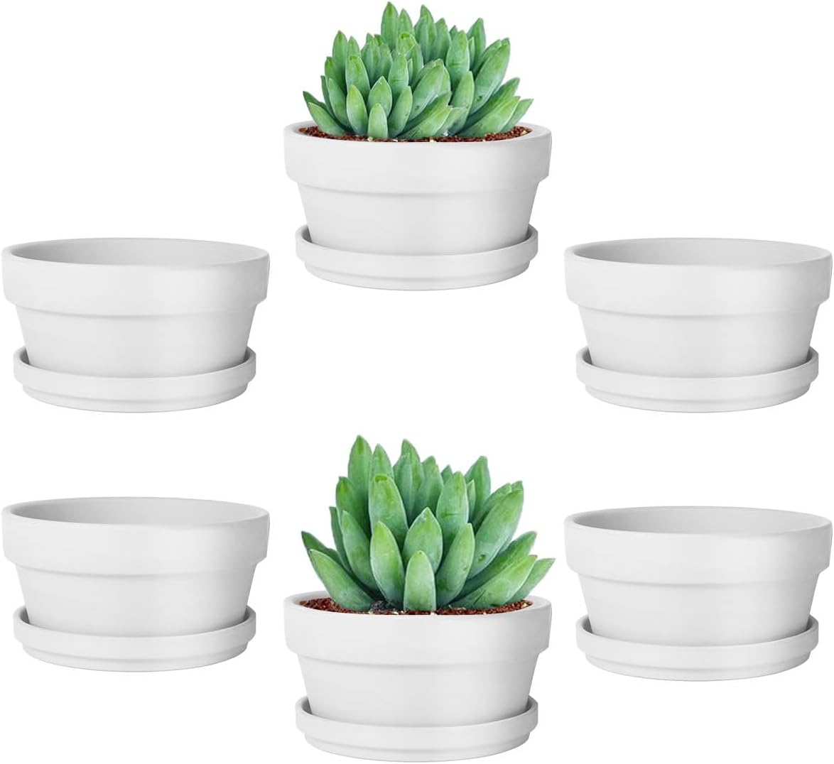 vensovo 3.7 Inch Terracotta Shallow Succulent Pots with Saucers, 6 Pack