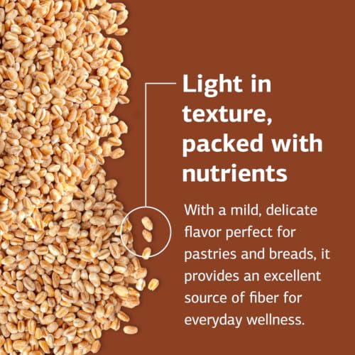 Royal Lee Organics Organic Soft White Wheat Berries 10 lb bag