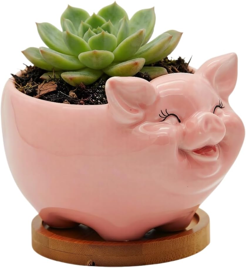Cuteforyou Succulent Pots,Cute Animal Shaped Cartoon Ceramic Succulent Cactus Flower Planters -Plant Not Included，Cat