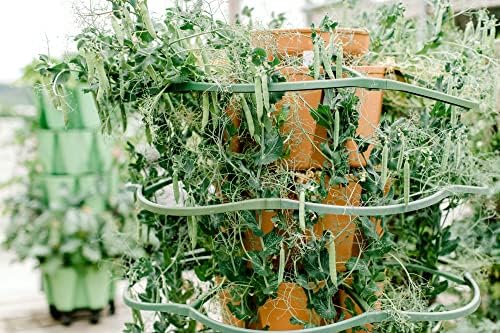 Greenstalk Set of 3 Plant Supports for Growing Tomatoes, Cucumbers, Peppers, Eggplant, and Squash Vertically in a Vertical Planter