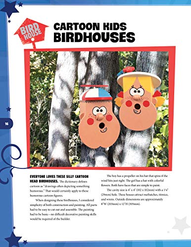 Wild & Wacky Birdhouses and Feeders: 18 Creative and Colorful Projects That Add Fun to Your Backyard (Fox Chapel Publishing) Bear, Rooster