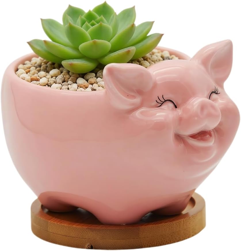 Cuteforyou Succulent Pots,Cute Animal Shaped Cartoon Ceramic Succulent Cactus Flower Planters -Plant Not Included，Cat
