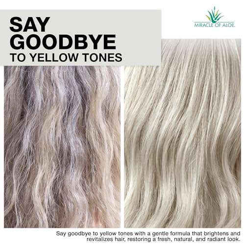 Softly Silver Shampoo For Gray Hair, 2 In 1 Purple Restorative Hair Wash