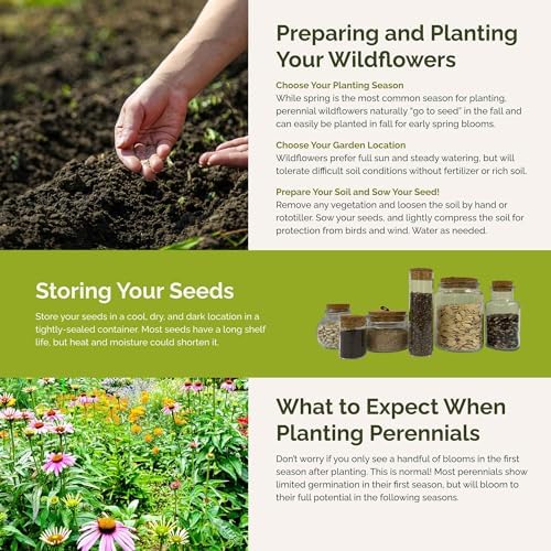 Eden Brothers The Bees Knees Pollinator Wildflower Seed Mix, 1/4 lb (135,000+ Seeds) Throw and Grow - 100% Pure, No Fillers - 18-Variety Non-GMO Annual + Perennial, Covers up to 1,100 SqFt, Zones 3-10